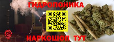 соль ск Славгород
