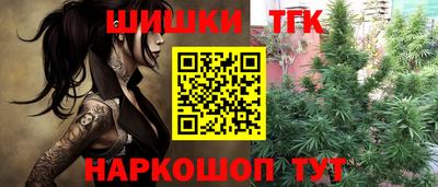 соль ск Славгород