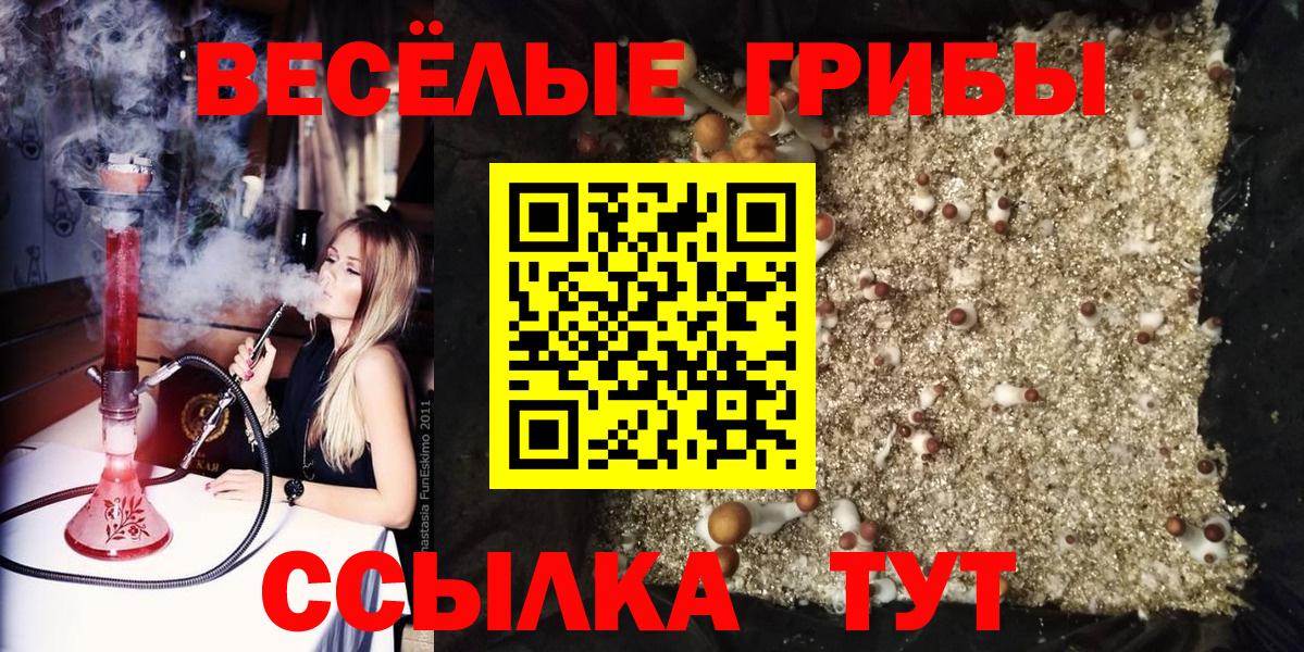 Подольск  Галлюциногенные грибы Psilocybe  Галлюциногенные грибы Magic Shrooms  Вход с VPN 