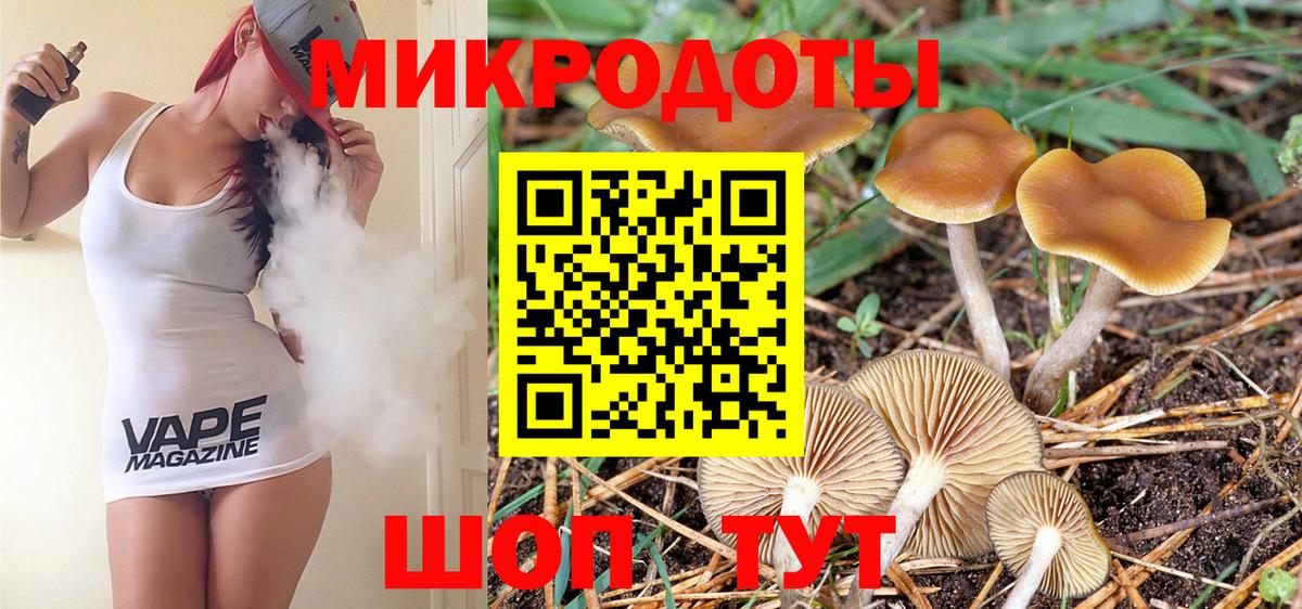 Псилоцибиновые грибы мицелий Подольск